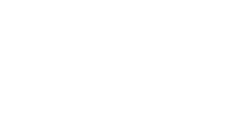 stink-skateshop logo